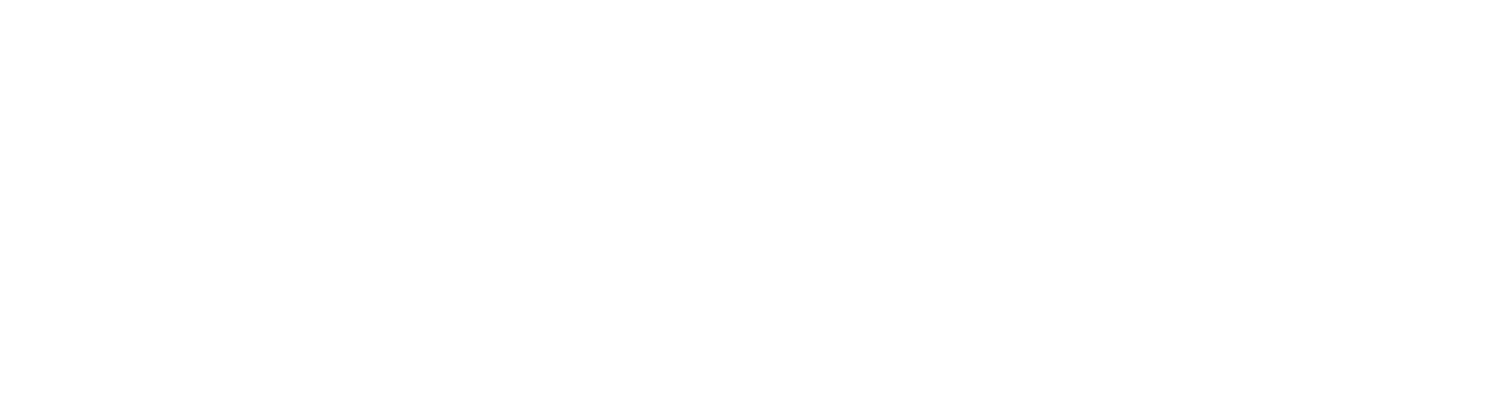 Tourism Training BD Logo
